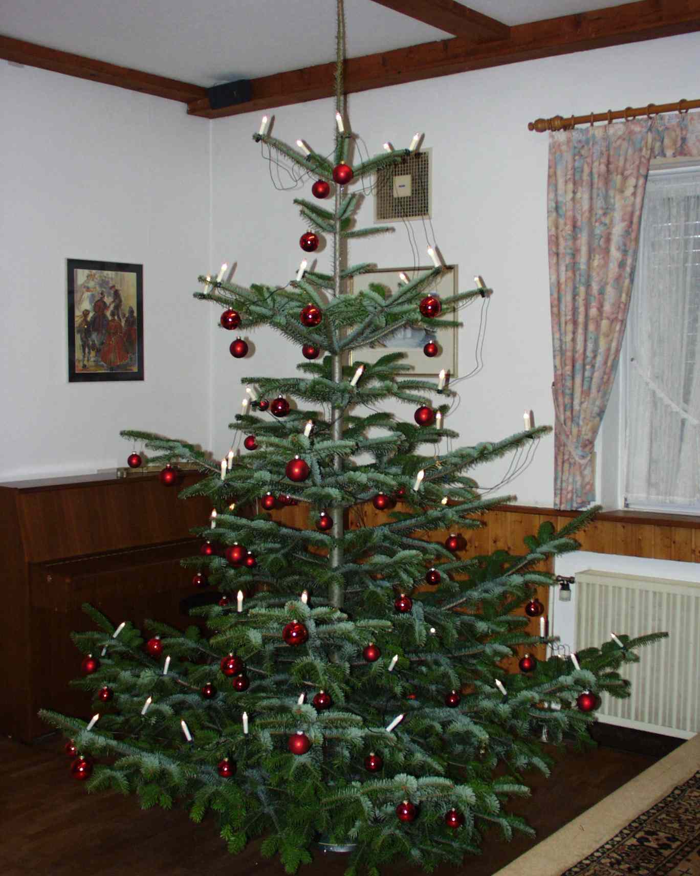 WeihnBaum.JPG (138446 Byte)