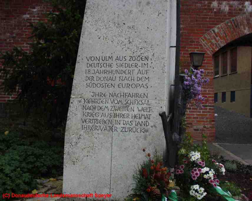 Pa220474.jpg (42320 Byte)